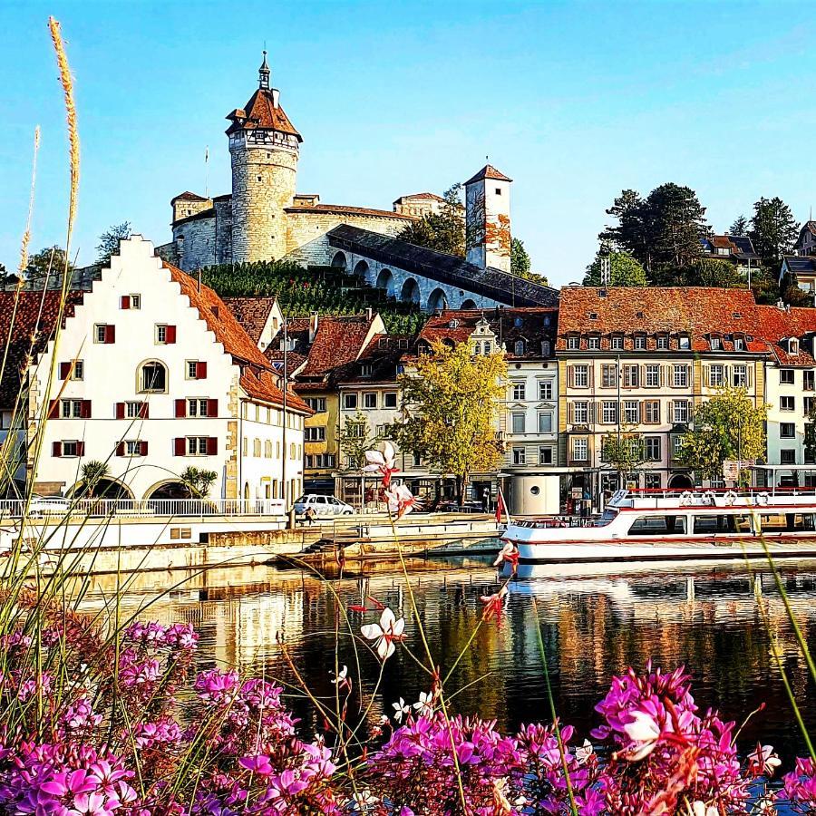 Apartment Suedwind - Beautiful Premium Apartment With 2 Bedrooms Near Rhine Falls & Zurich Airport In Klettgau Weisweil  エクステリア 写真