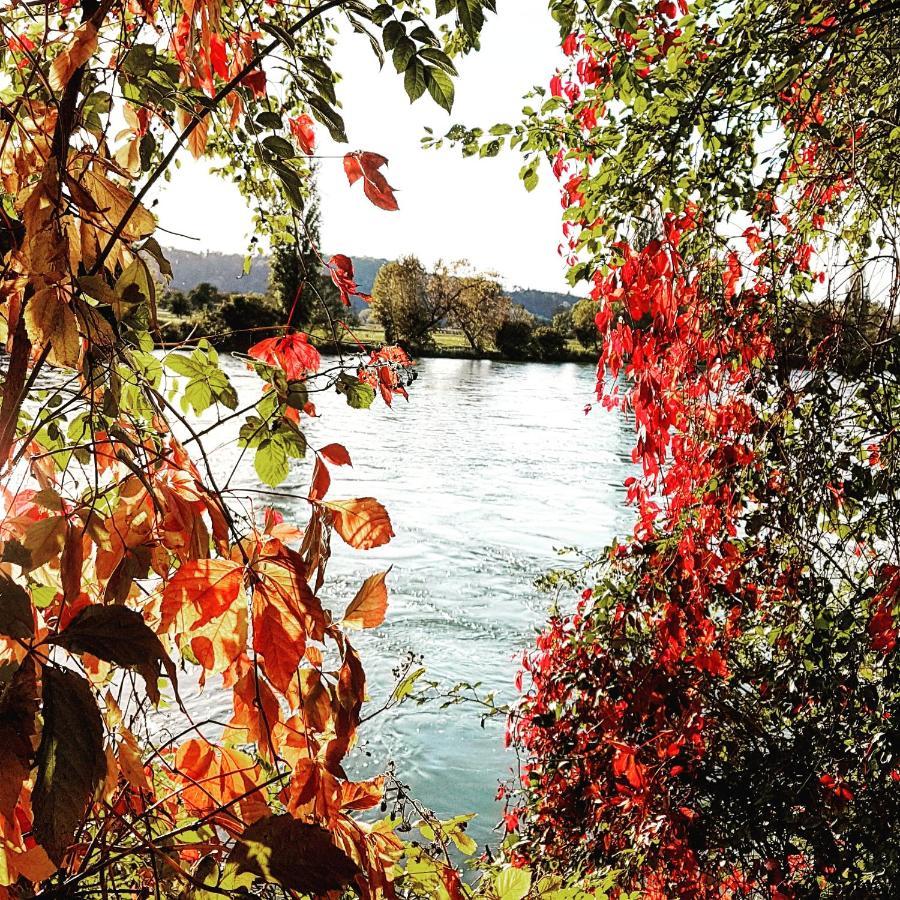 Apartment Suedwind - Beautiful Premium Apartment With 2 Bedrooms Near Rhine Falls & Zurich Airport In Klettgau Weisweil  エクステリア 写真